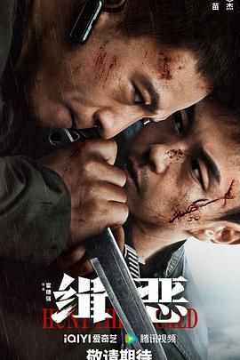 《如意芳菲》主视觉